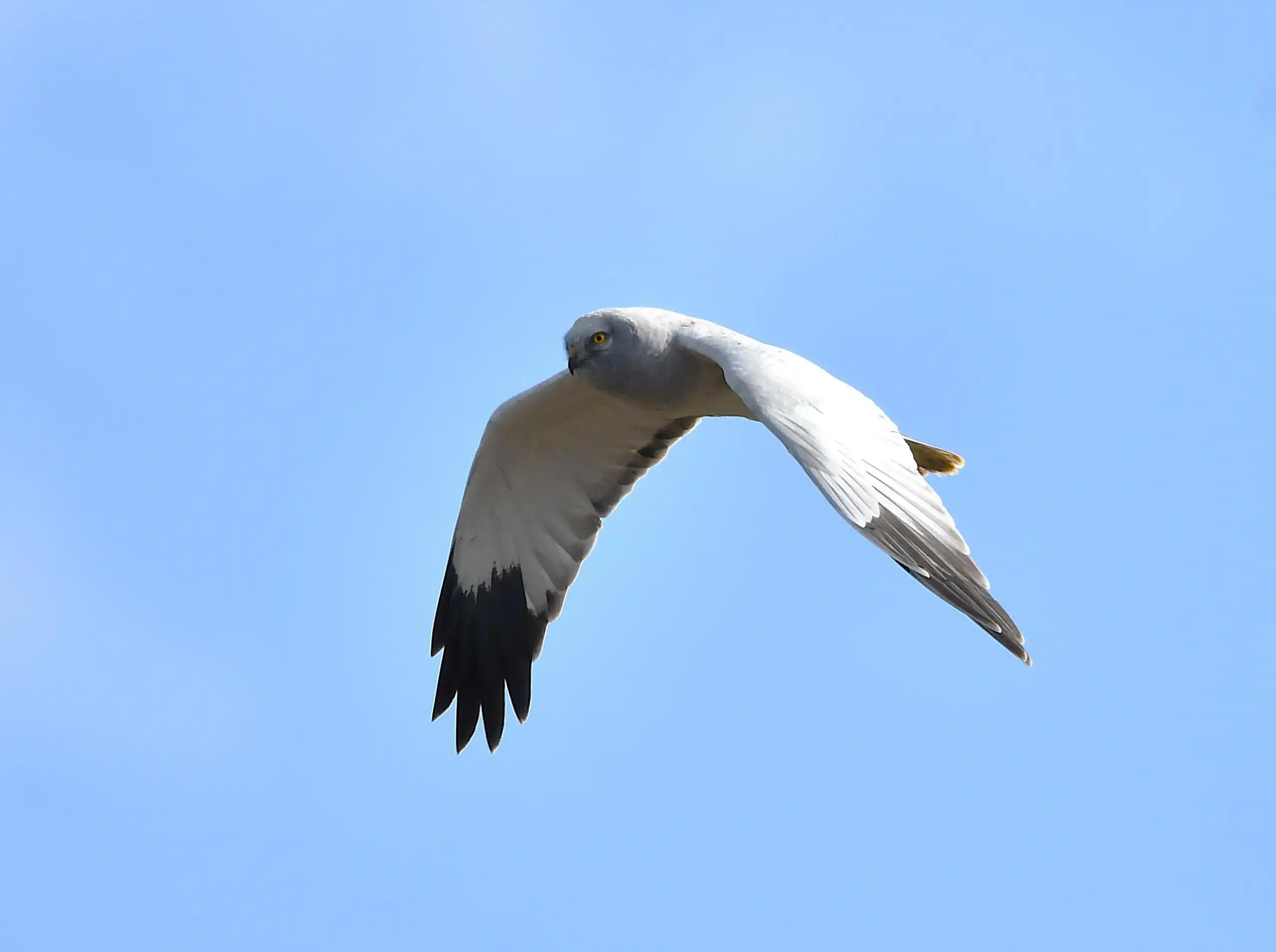 photo 5 du carrousel