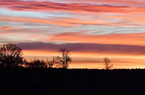 La vie naturelle du Périgord